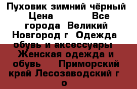 Пуховик зимний чёрный › Цена ­ 2 500 - Все города, Великий Новгород г. Одежда, обувь и аксессуары » Женская одежда и обувь   . Приморский край,Лесозаводский г. о. 